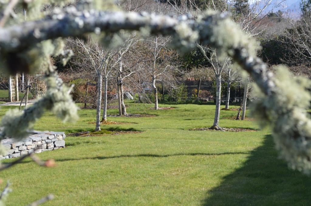 Cornerstones B&B Moyard Esterno foto